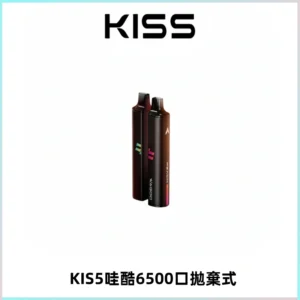 KIS5WAGOO哇酷6500口拋棄式 | 自由混搭雙口味 | 雙芯組合