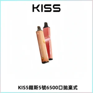 KIS5鎧斯5號一次性6500口磁吸式拋棄式電子煙#自由混搭#
